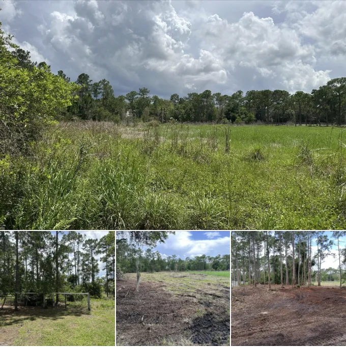 Collage showing underbrush clearing progress across a wooded Florida property.