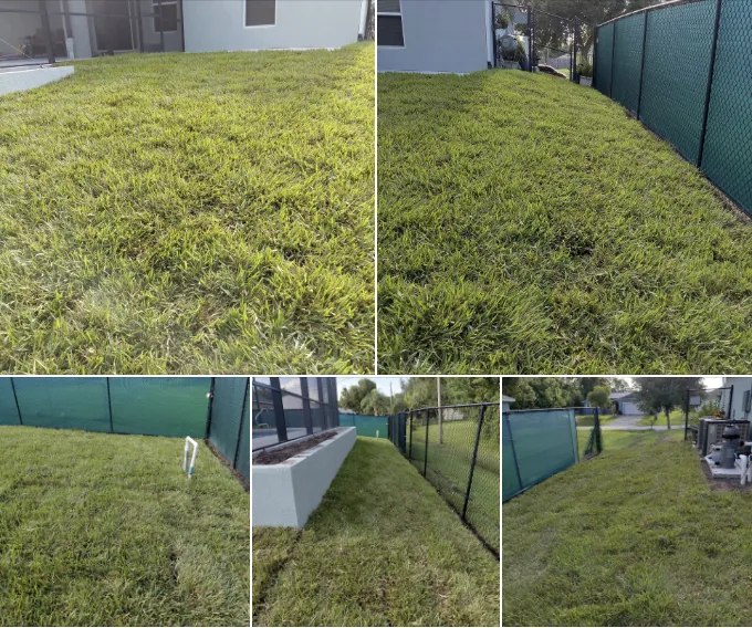 Collage showing fresh sod covering a leveled backyard beside a screened patio.