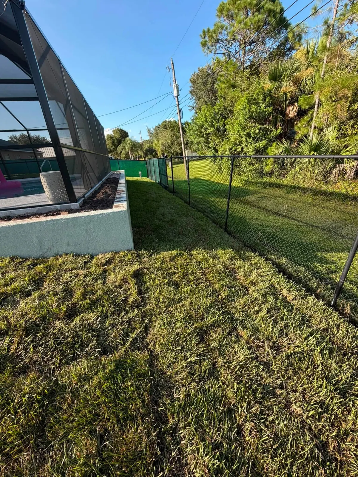 Fresh sod beside the screened patio after grading