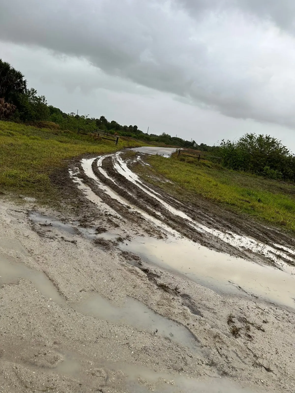 Muddy wheel ruts along the driveway before grading