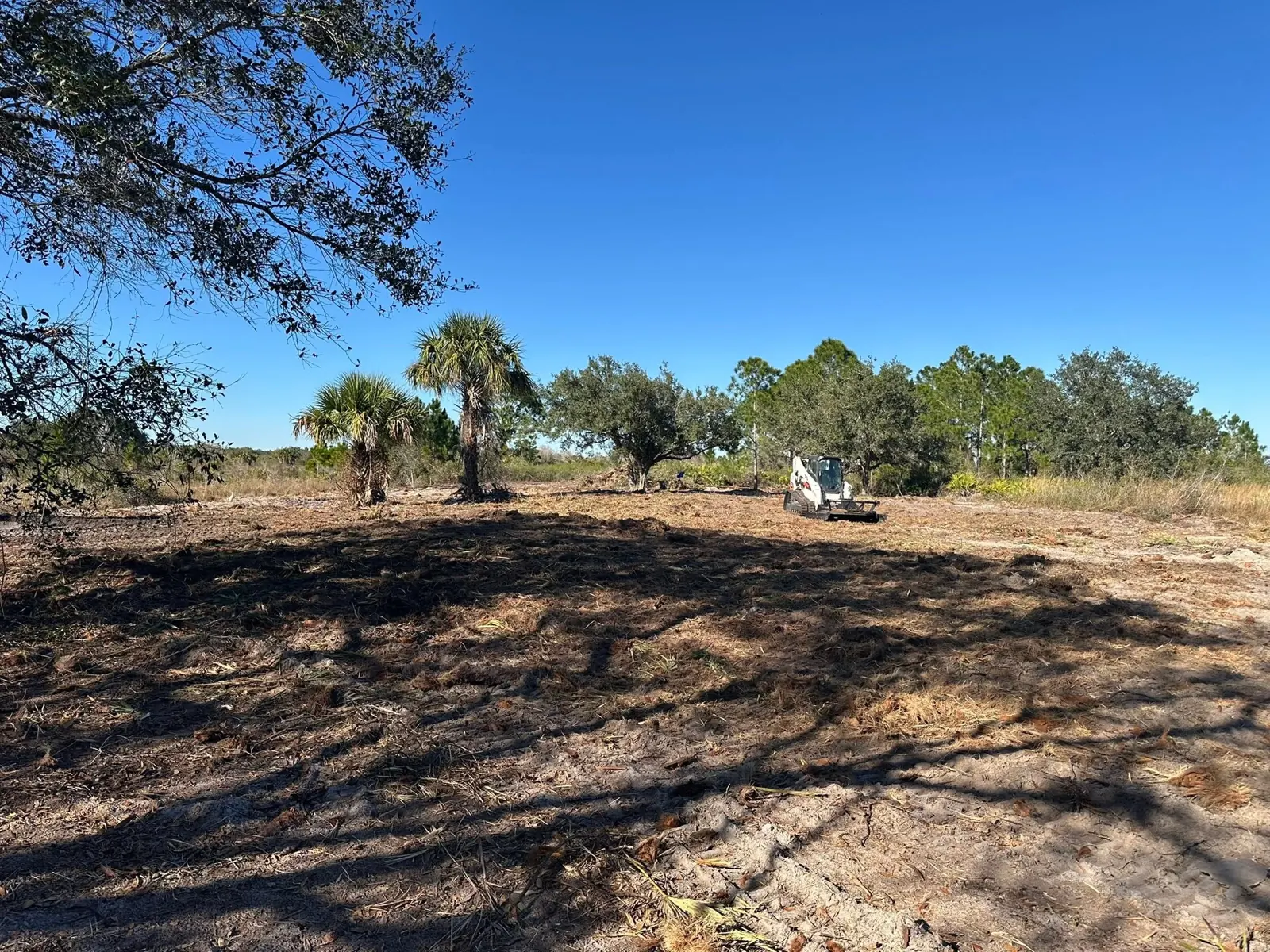 Cleared ground with scattered vegetation after site work