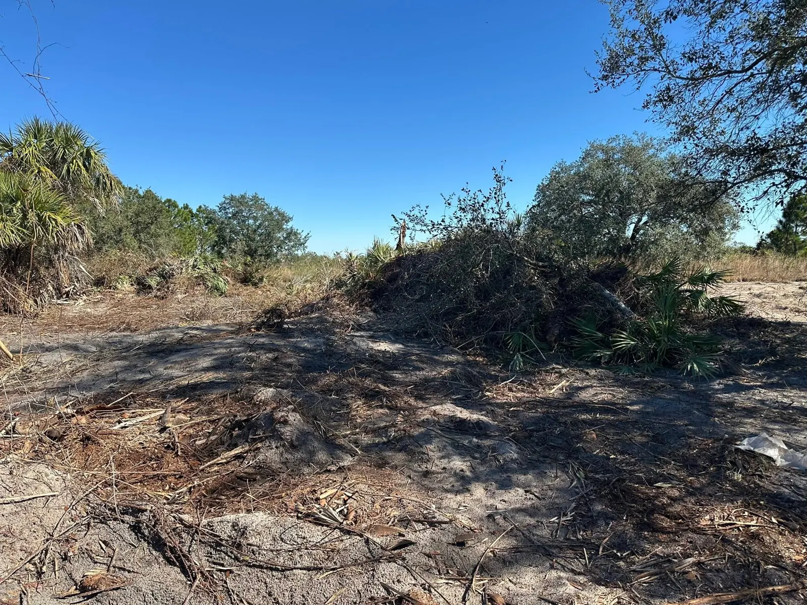Piled branches in the land-clearing work area
