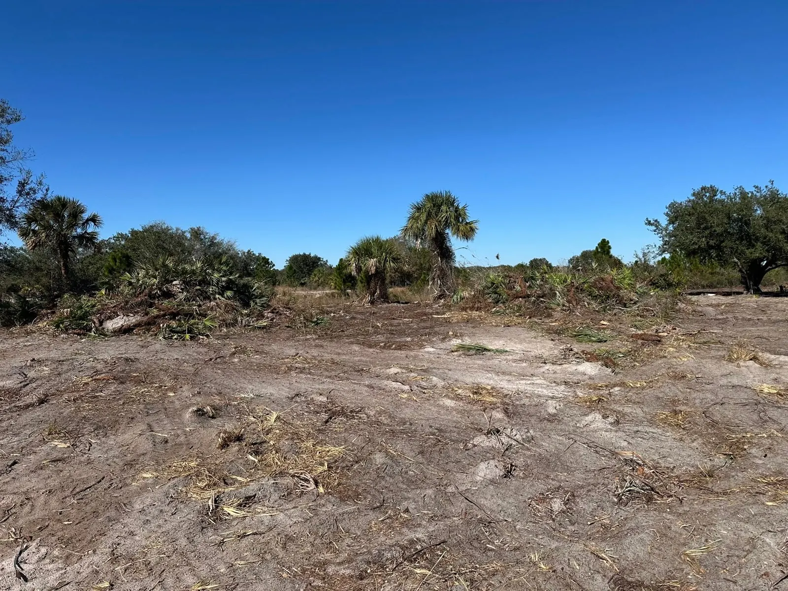 Wide view of opened ground on the land-clearing site
