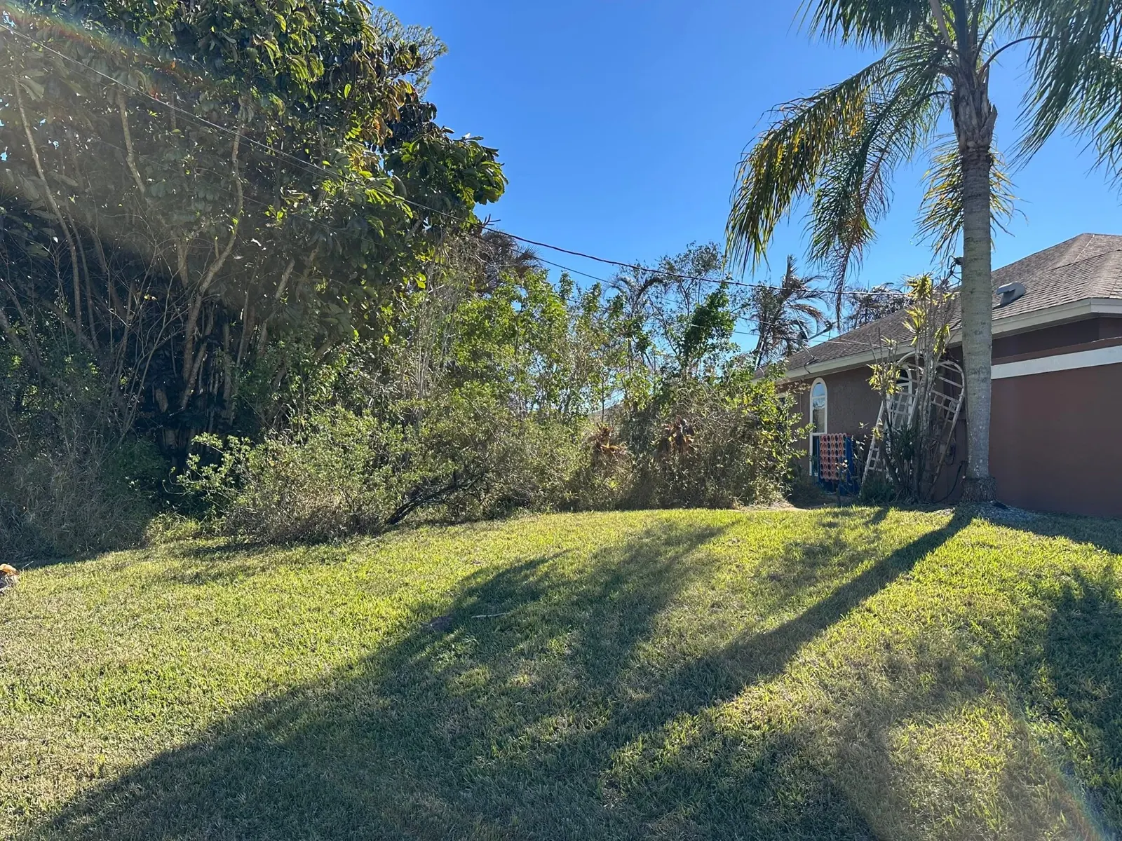 Lawn and vegetation beside the pool-removal project