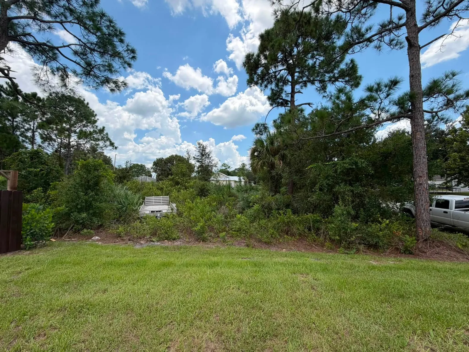 Overgrown residential lot before clearing