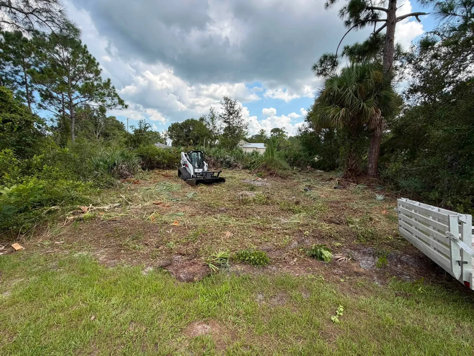 Opened ground during residential land clearing